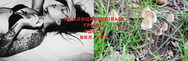 дурь Абдулино
