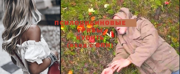 шишки Абинск
