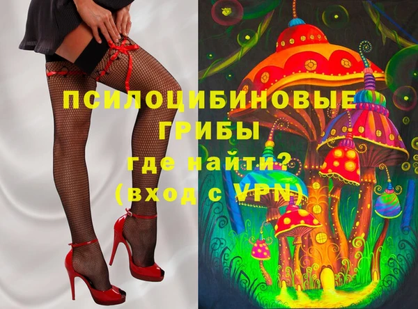apvp Пестово
