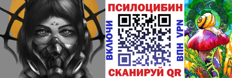 Галлюциногенные грибы Psilocybine cubensis  магазин продажи наркотиков  Нерчинск 